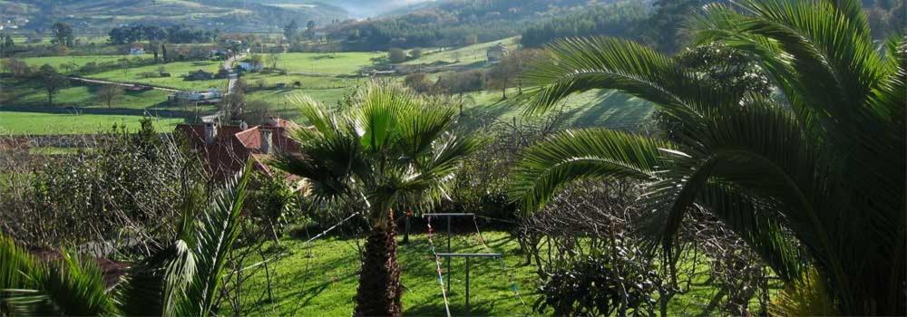 Rural La Curva Sardalla